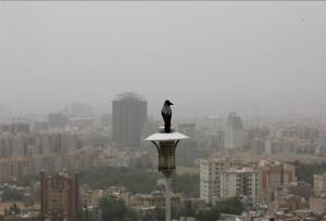 هوای شهر همدان و نهاوند برای گروه‌های حساس ناسالم شد