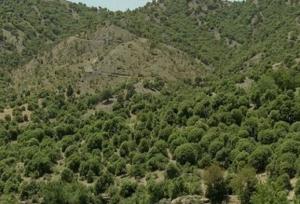 مدیرکل محیط زیست لرستان: بدون مشارکت مردم هیچ برنامه حفاظتی در زاگرس موفق نمی‌شود