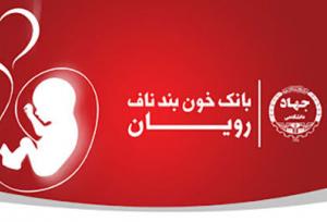 ذخیره بیش از ۲۴۰۰ نمونه خون بند ناف  در اردبیل