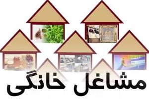 تحقق اقتصاد خانواده محور با مشاغل خانگی