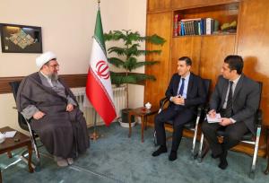 مطهری‌اصل: اشتراکات دینی و فرهنگی پایه توسعه روابط ایران و ترکیه است