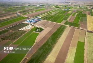 ۶۲ هزار هکتار از اراضی زراعی استان قزوین شناسه‌دار شد