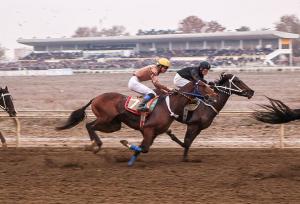 پایان هفته ششم کورس پاییزی گنبد با جوایز میلیاردی