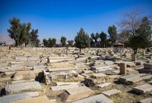 عضو شورای شهر شیراز: دارالسلام به عنوان موزه‌ احیا می‌شود/ الحاق باغ مزار مشاهیر به دارالسلام