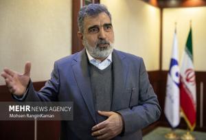 کمالوندی: همچنان ۱۲۰ بازرس آژانس در ایران مشغول به فعالیت هستند