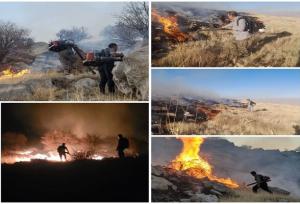 آتش سوزی در بیستون مهار شد