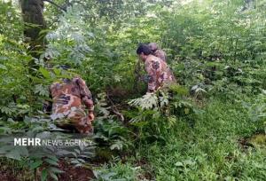 برزگر: حکم قضایی رفع تصرف ۲۵۰۰ مترمربع اراضی ملی در رحیم‌آباد اجرا شد