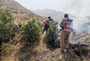سوز آتش برجان مراتع کردستان/سهل انگاری انسان عاملی در نابودی جنگل