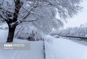 بارش ۵۰ سانتی‌متری برف در ابیانه 