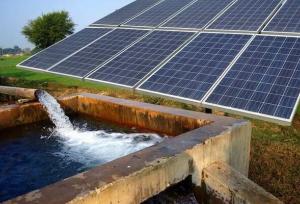 تجهیز ۸۸۹ چاه آب کشاورزی مشهد به نیروگاه خورشیدی