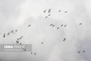 هوای خوزستان؛ ۱۳ شهر «قابل قبول»، ۴ شهر «نارنجی»