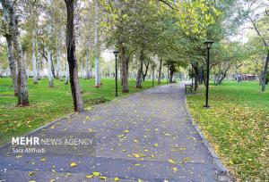 غیوری خواه: دمای هوای مشهد بین ۴ تا ۲۱ درجه در نوسان خواهد بود