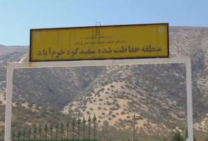 چشمان بیدار سفیدکوه؛ قلعه‌ گونه‌های نادر نگهبان می‌خواهد!