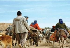 پرداخت تسهیلات به جامعه عشایری و روستایی کهگیلویه و بویراحمد