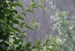 آسمان خشمگین در ۱۵ استان