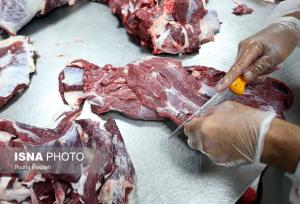 اجرای گسترده نظارت‌های بهداشتی در کشتارگاه‌های دام زنجان