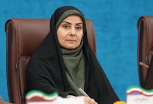 وزیر راه و شهرسازی از مرز مهران بازدید کرد