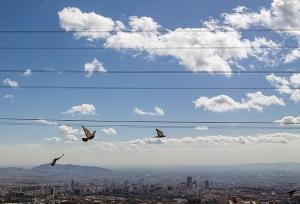 جوی آرام در اغلب مناطق کشور؛ پیش‌بینی وضعیت جوی ۵ روز آینده