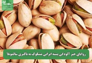 زوایای خبر آلودگی پسته ایرانی مشکوک به باکتری سالمونلا