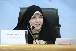 تکیه بر رهنمودهای رهبری، راه‌حل جلوگیری از خشونت علیه زنان است