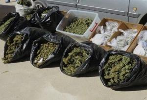 بزرگ‌ترین محموله ماریجوانا سال در شهرستان ری کشف شد