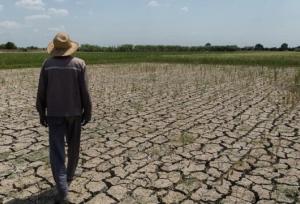 تغییرات اقلیمی؛ چالشی راهبردی برای کشاورزی و فرآورده‌های دامی کشور