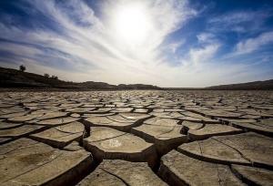 ۷۰ روز خشکی مطلق در بوشهر؛ توصیه‌هایی برای کشت در سال آبی جدید