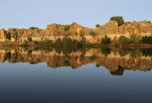المپیک ۲۰۳۲ در قلمرو کروکودیل‌ها!