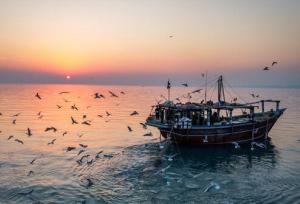 افزایش باد شمال‌شرقی و آسمان صاف در بیشتر نقاط هرمزگان