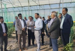 فرماندار رودان بر ساماندهی حریم رودخانه آب‌نما و حمایت از کشاورزان تأکید کرد