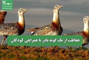 حفاظت از یک گونه نادر با همراهی کودکان