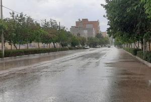 بارش باران تابستانی در پارس‌آباد/دمای هوا تا ۱۰ درجه خنک شد