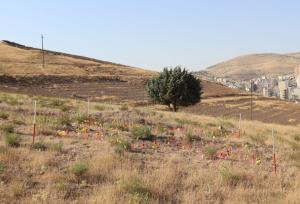 سرنوشت محوطه باستانی یک میلیون ساله کرمانشاه چه می‌شود؟