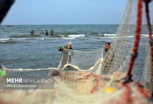 دادرس: شرایط دریای خزر برای فعالیت‌ های دریایی موقتاً نامناسب است