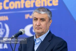 ایران به بلوغ کامل در چرخه سوخت هسته ای دست یافته است