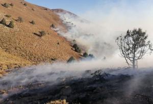 آتش‌سوزی محدود در غرب صیدگاه میان‌قلعه میانکاله مهار شد