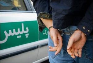 دستگیری عاملین نزاع دسته‌جمعی توسط پلیس اردل