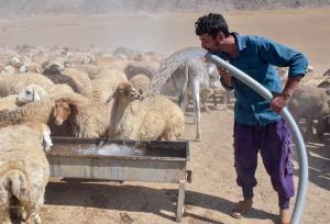 پیرجاهد:فاز اول طرح ساماندهی چشمه «یوسف‌خان کندی» مشگین انجام شد