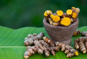 از کشت گلخانه‌ای زردچوبه و زنجبیل تا میوه‌های استوایی در کبودراهنگ