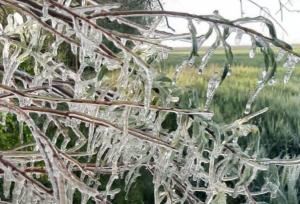 هشدار نارنجی هواشناسی در کهگیلویه و بویراحمد؛سردی زمستان به اوج می‌رسد
