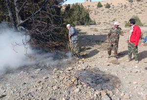 حریق جنگل‌های مینودشت اطفا شد