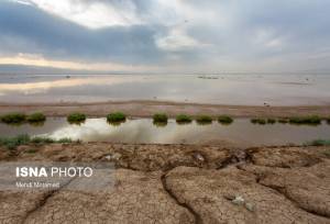 تالاب‌های قزوین؛ از فریاد خشکسالی تا نجوای امید