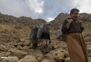 فعال‌سازی کولبری در خراسان جنوبی؛ ورود ۲۰ تن موز و کاهش محسوس قیمت