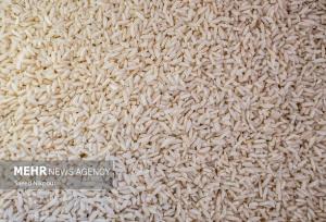 شهرزاد: محموله برنج پاکستانی وارد استان هرمزگان شد