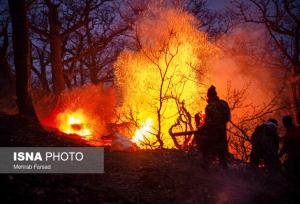 سوختن مجدد برگ‌های پاییزی، شائبه آتش‌سوزی دوباره جنگل دیزمار را ایجاد کرده است