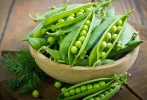 افزایش تولید نخود سبز در شهرستان سرباز