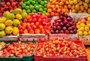 سازمان مدیریت میادین میوه و تره‌بار به عرصه تجارت خارجی ورود می‌یابد؟