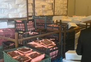 کشف ۵۵ تُن فرآورده های دامی تاریخ مصرف گذشته در گلستان