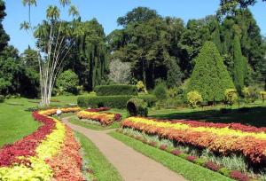 خزان باغ گیاه‌شناسی ایران با بلندمرتبه سازی جوار آن