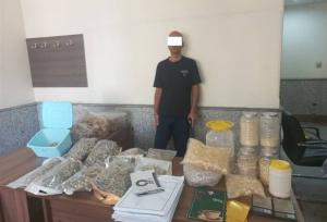 دستگیری موادفروشی با ۲۰۰۰فالوئر در اینستاگرام/ کشف ۱۷کیلو قارچ سمی توهم‌زا